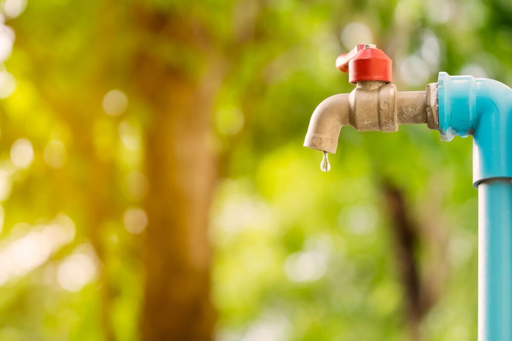 Chaque goutte compte : comprendre les effets de la sécheresse