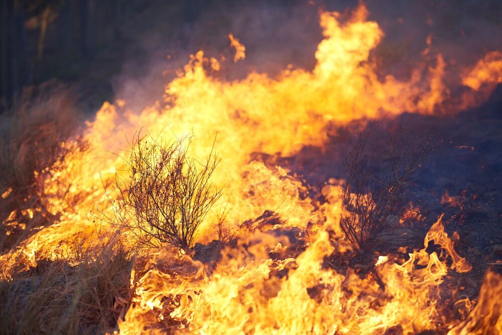 Une simple étincelle peut suffire : comprendre le risque d'incendie en été