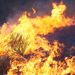 Une simple étincelle peut suffire : comprendre le risque d'incendie en été