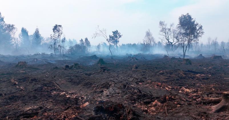 Incendie dans les Hautes Fagnes : situation en cours et mesures en vigueur