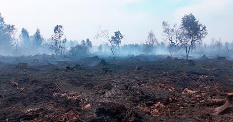 Actualité: Incendie dans les Hautes Fagnes : situation en cours et mesures en vigueur