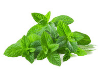 Illustration Menthe