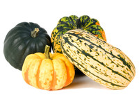 Illustration Courge