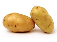 Illustration Pomme de terre